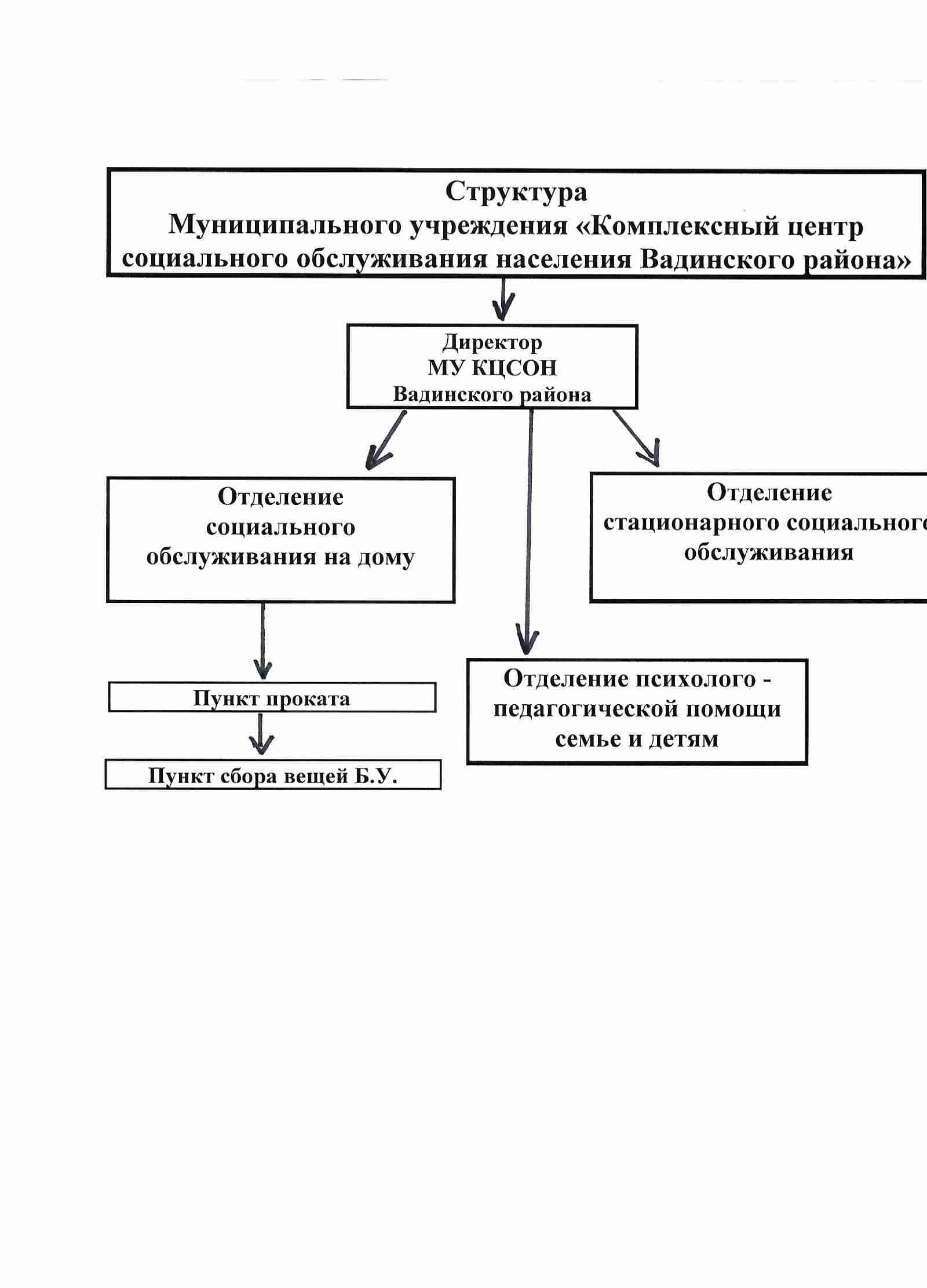 Структура организации